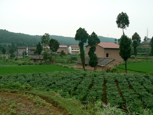 Biogas project - farmland