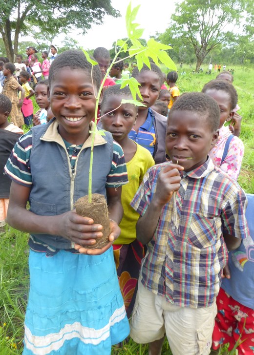 4.-Zambia-Forest-Protection-School-orchard.jpg