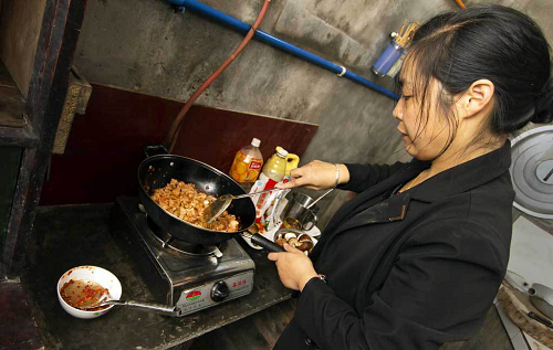 China biogas project